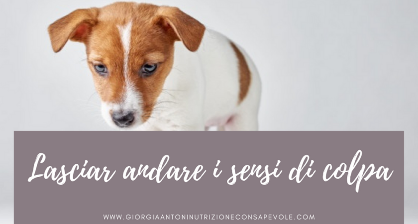 Lasciar andare i sensi di colpa