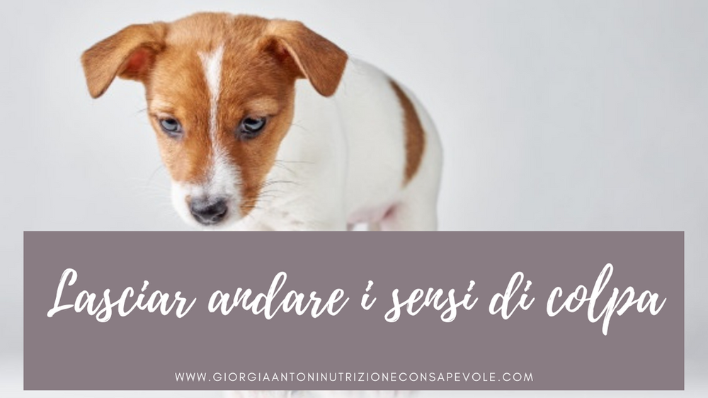 Lasciar andare i sensi di colpa